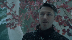 extant_GameOfThrones_6x10-TheWindsOfWinter_5501