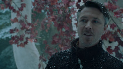 extant_GameOfThrones_6x10-TheWindsOfWinter_5513