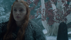 extant_GameOfThrones_6x10-TheWindsOfWinter_5514