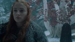 extant_GameOfThrones_6x10-TheWindsOfWinter_5516