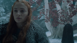 extant_GameOfThrones_6x10-TheWindsOfWinter_5517