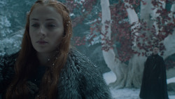 extant_GameOfThrones_6x10-TheWindsOfWinter_5519