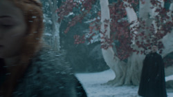 extant_GameOfThrones_6x10-TheWindsOfWinter_5525