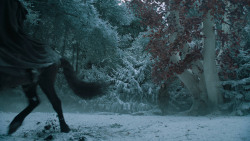 extant_GameOfThrones_6x10-TheWindsOfWinter_5694