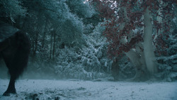 extant_GameOfThrones_6x10-TheWindsOfWinter_5695