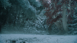 extant_GameOfThrones_6x10-TheWindsOfWinter_5696
