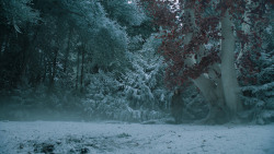 extant_GameOfThrones_6x10-TheWindsOfWinter_5697