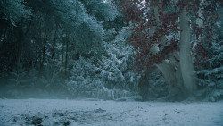 extant_GameOfThrones_6x10-TheWindsOfWinter_5698