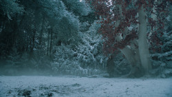 extant_GameOfThrones_6x10-TheWindsOfWinter_5699