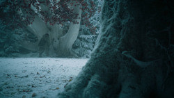 extant_GameOfThrones_6x10-TheWindsOfWinter_5729