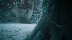 extant_GameOfThrones_6x10-TheWindsOfWinter_5734