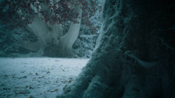 extant_GameOfThrones_6x10-TheWindsOfWinter_5736