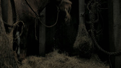 extant_GameOfThrones_6x10-TheWindsOfWinter_6987