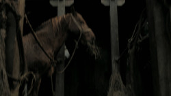 extant_GameOfThrones_6x10-TheWindsOfWinter_6988