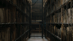extant_GameOfThrones_7x01-Dragonstone_2930