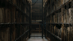 extant_GameOfThrones_7x01-Dragonstone_2931