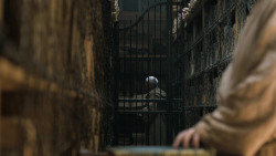 extant_GameOfThrones_7x01-Dragonstone_3031