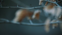 extant_GameOfThrones_7x01-Dragonstone_3717