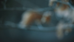 extant_GameOfThrones_7x01-Dragonstone_3718