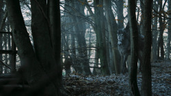 extant_GameOfThrones_7x01-Dragonstone_3743