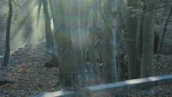 extant_GameOfThrones_7x01-Dragonstone_3754