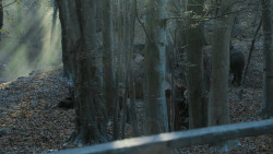 extant_GameOfThrones_7x01-Dragonstone_3756
