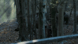 extant_GameOfThrones_7x01-Dragonstone_3757