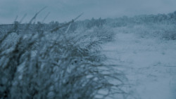 extant_GameOfThrones_7x01-Dragonstone_4172