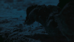 extant_GameOfThrones_7x01-Dragonstone_5024