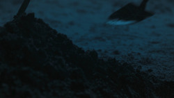extant_GameOfThrones_7x01-Dragonstone_5045