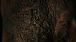 extant_GameOfThrones_7x02-Stormborn_3420