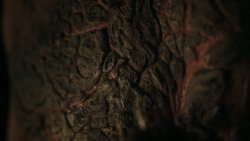 extant_GameOfThrones_7x02-Stormborn_3421