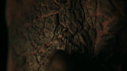 extant_GameOfThrones_7x02-Stormborn_3422