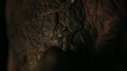 extant_GameOfThrones_7x02-Stormborn_3423