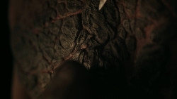 extant_GameOfThrones_7x02-Stormborn_3424
