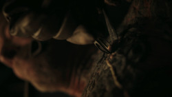 extant_GameOfThrones_7x02-Stormborn_3473