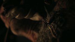 extant_GameOfThrones_7x02-Stormborn_3476