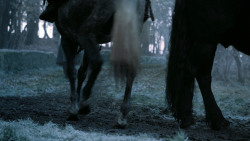extant_GameOfThrones_7x02-Stormborn_3920