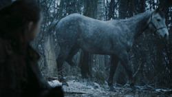 extant_GameOfThrones_7x02-Stormborn_4747
