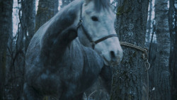 extant_GameOfThrones_7x02-Stormborn_4772