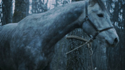 extant_GameOfThrones_7x02-Stormborn_4773