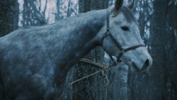 extant_GameOfThrones_7x02-Stormborn_4774