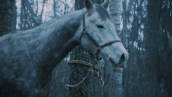 extant_GameOfThrones_7x02-Stormborn_4775
