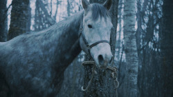 extant_GameOfThrones_7x02-Stormborn_4776