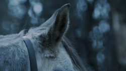 extant_GameOfThrones_7x02-Stormborn_4809