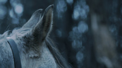 extant_GameOfThrones_7x02-Stormborn_4810