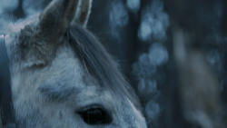 extant_GameOfThrones_7x02-Stormborn_4811