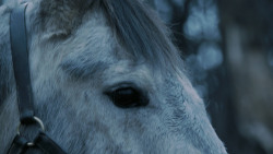 extant_GameOfThrones_7x02-Stormborn_4812