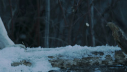 extant_GameOfThrones_7x02-Stormborn_4823
