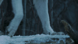 extant_GameOfThrones_7x02-Stormborn_4824